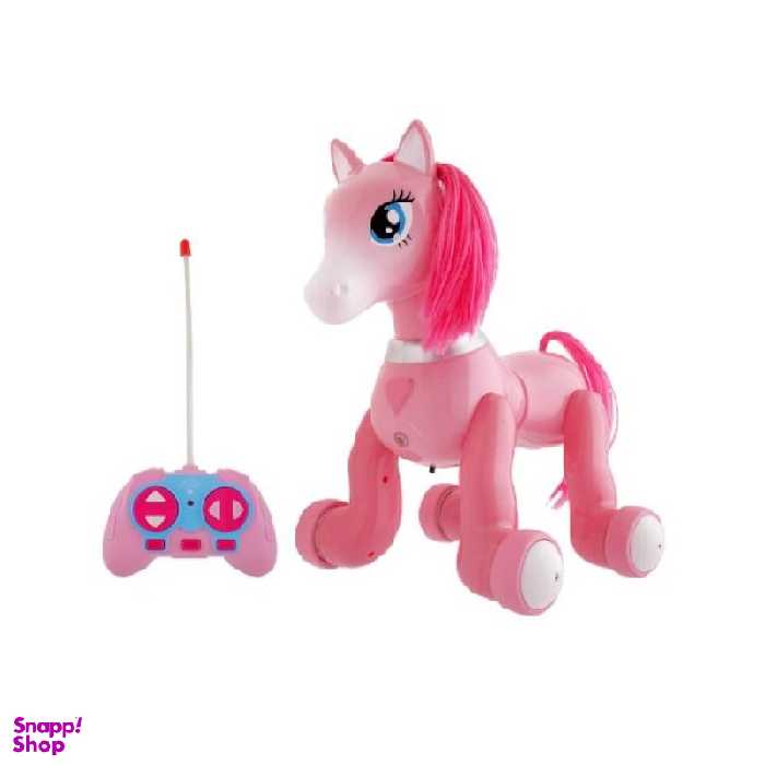 ربات کنترلی پونی