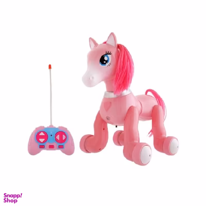 ربات کنترلی پونی