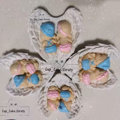 گیفت دوقلو مدل بال فرشته