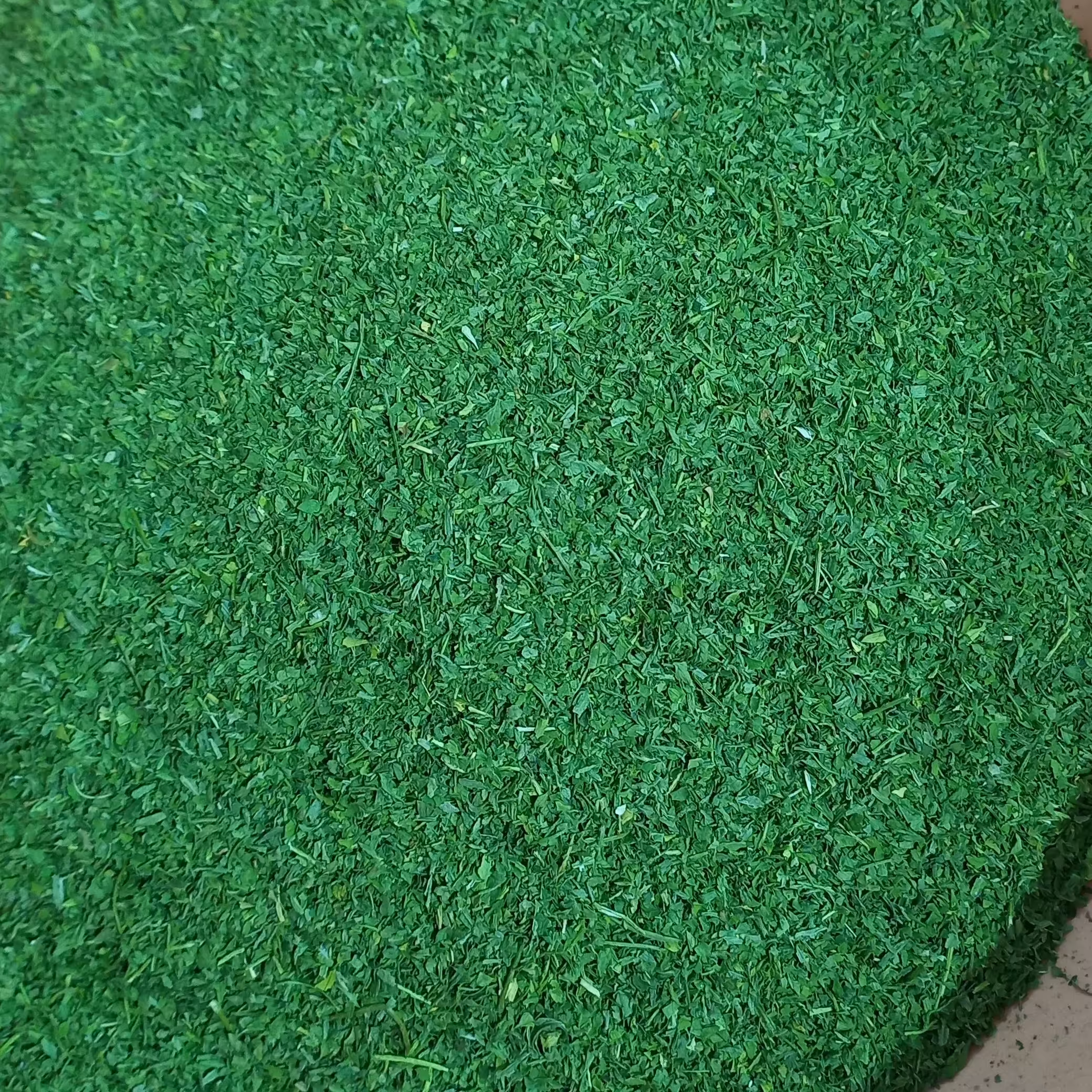 سبزی قورمه خشک شده ناموجود