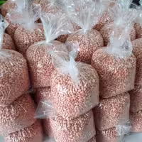 بادام زمینی ممتاز آستانه اشرفیه 500 گرمی محصول سال 1403