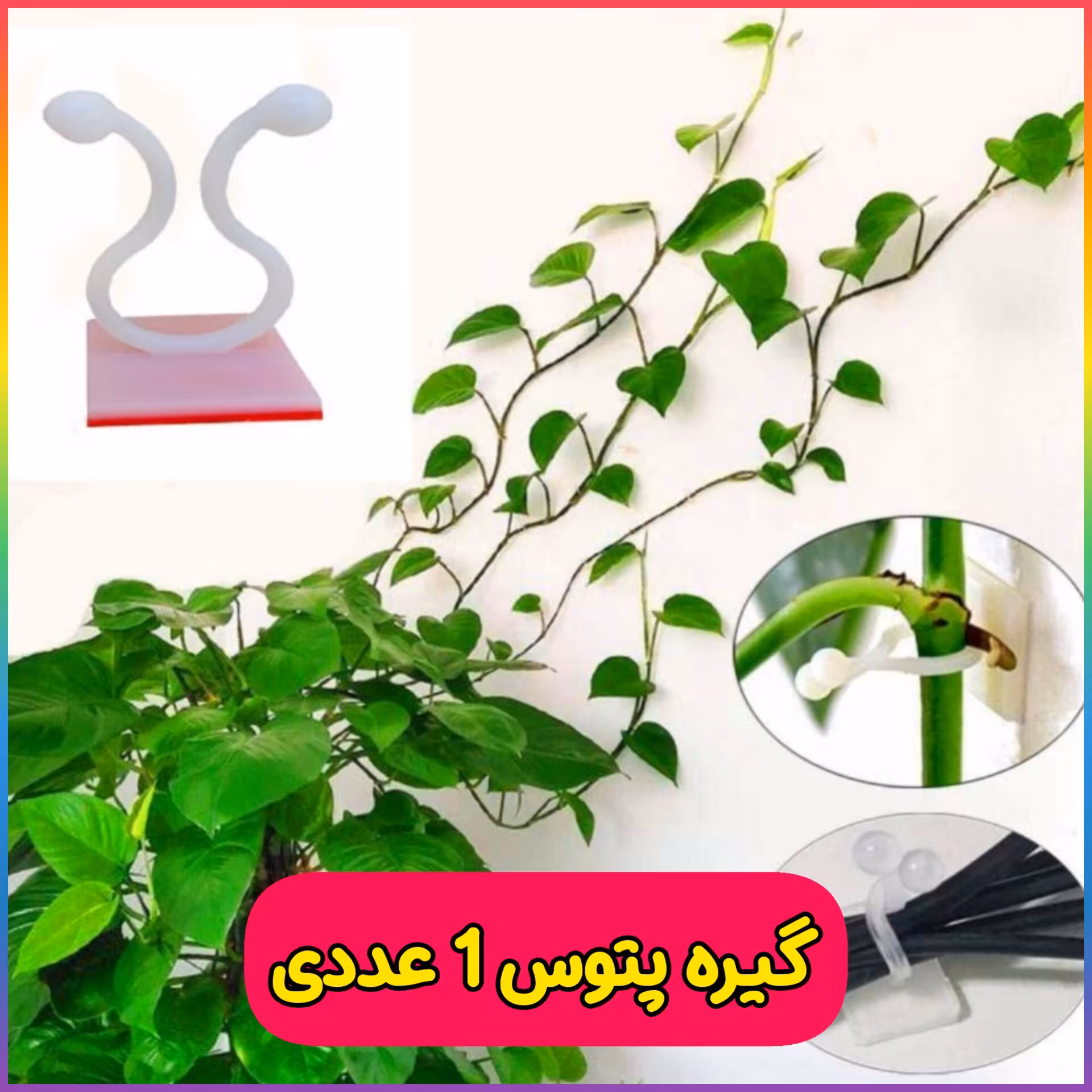 گیره پتوس و گیاهان رونده ( 1 عددی ) گیره آویز و نظم دهنده سیم و کابل 