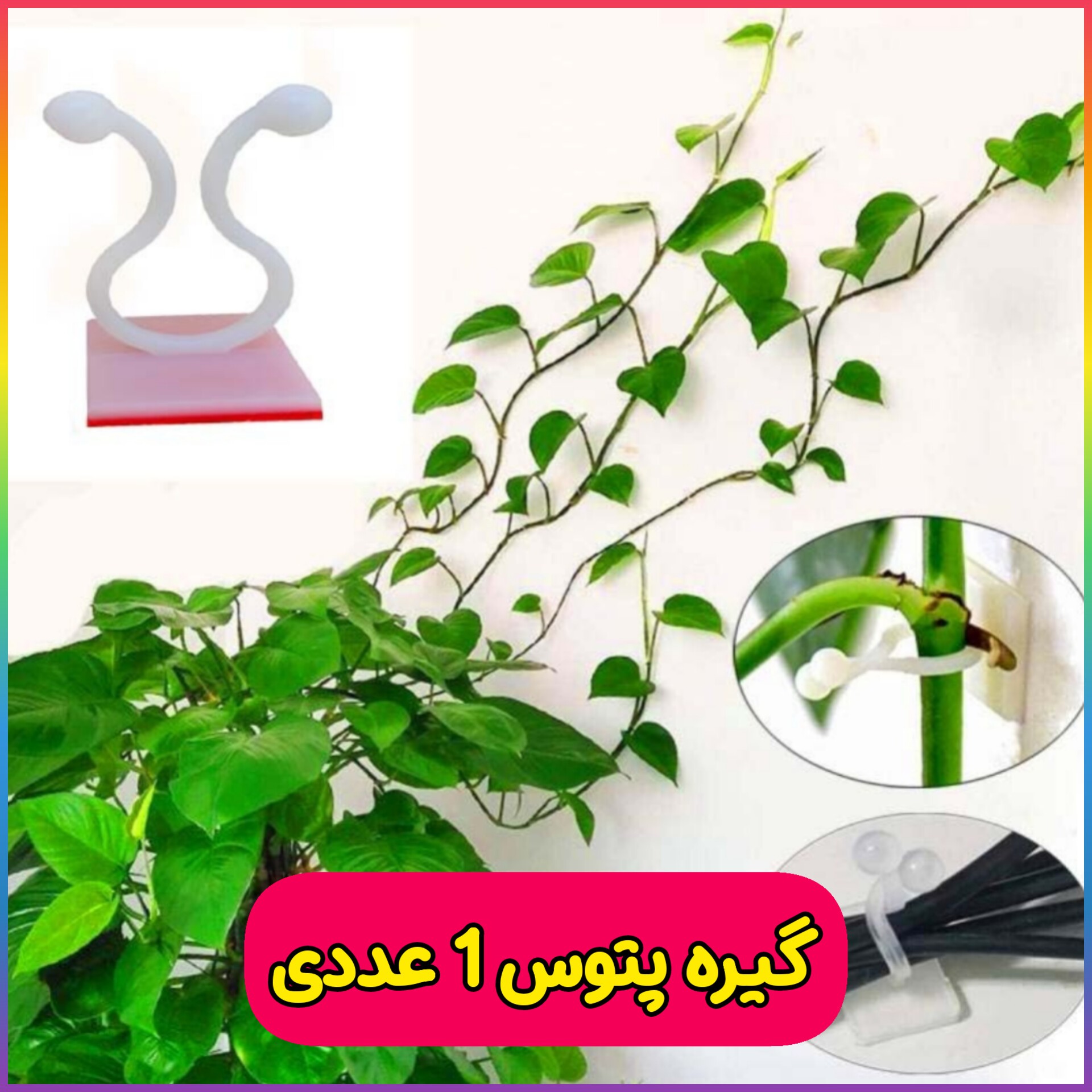 گیره پتوس و گیاهان رونده ( 1 عددی ) گیره آویز و نظم دهنده سیم و کابل