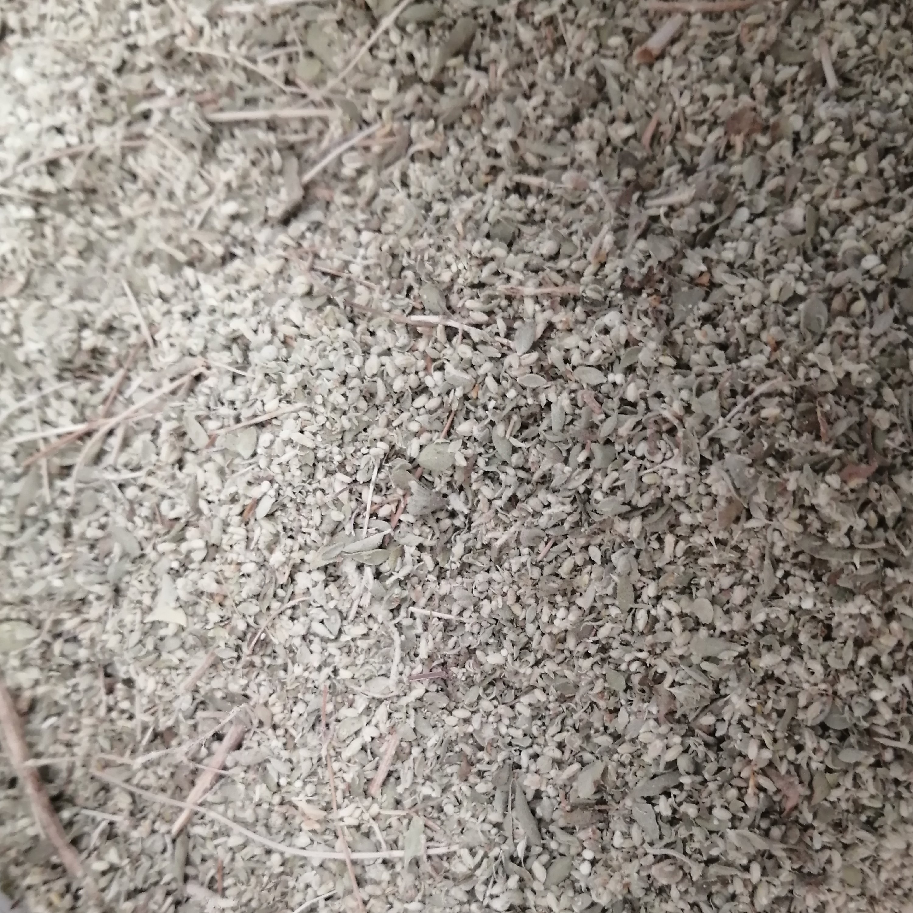 گل آویشن شیرازی اعلا75 گرم ZATAR LEAVES  - أوراق زعتر