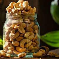 بادام هندی یا کاشو  و نام علمی آن  Anacardium occidentale