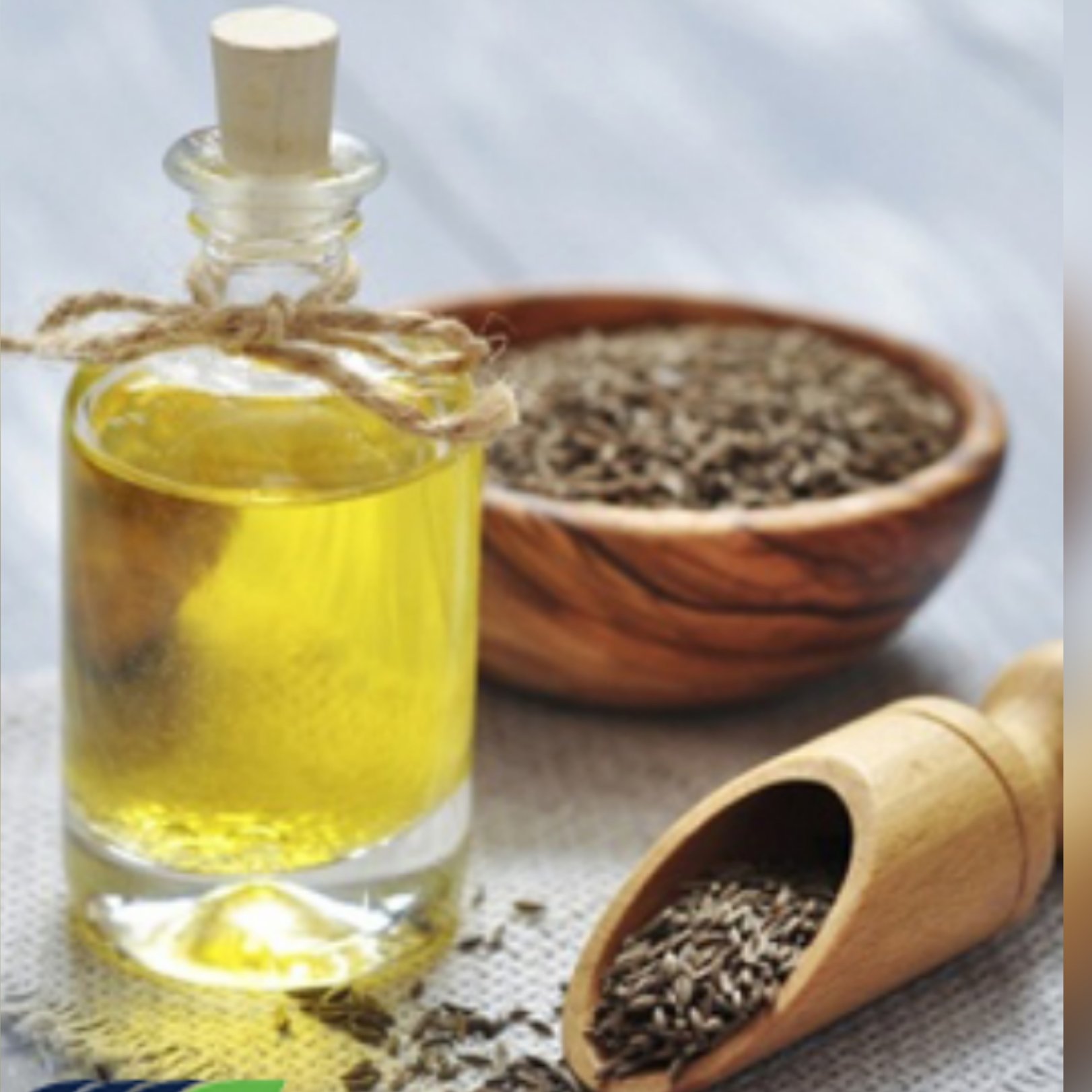 روغن زیره سیاه 30 سی سی ( پوست و مو، درد مفاصل )