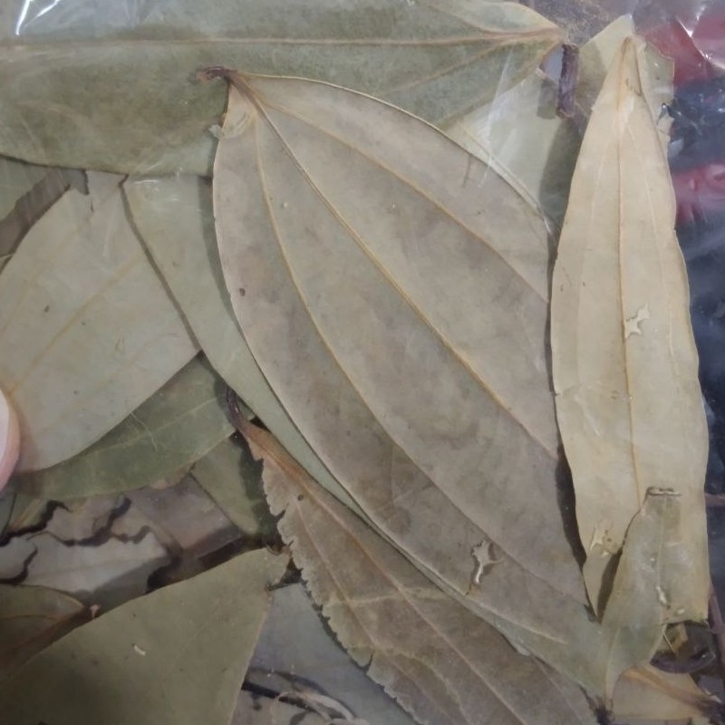 ساذج هندی اصل