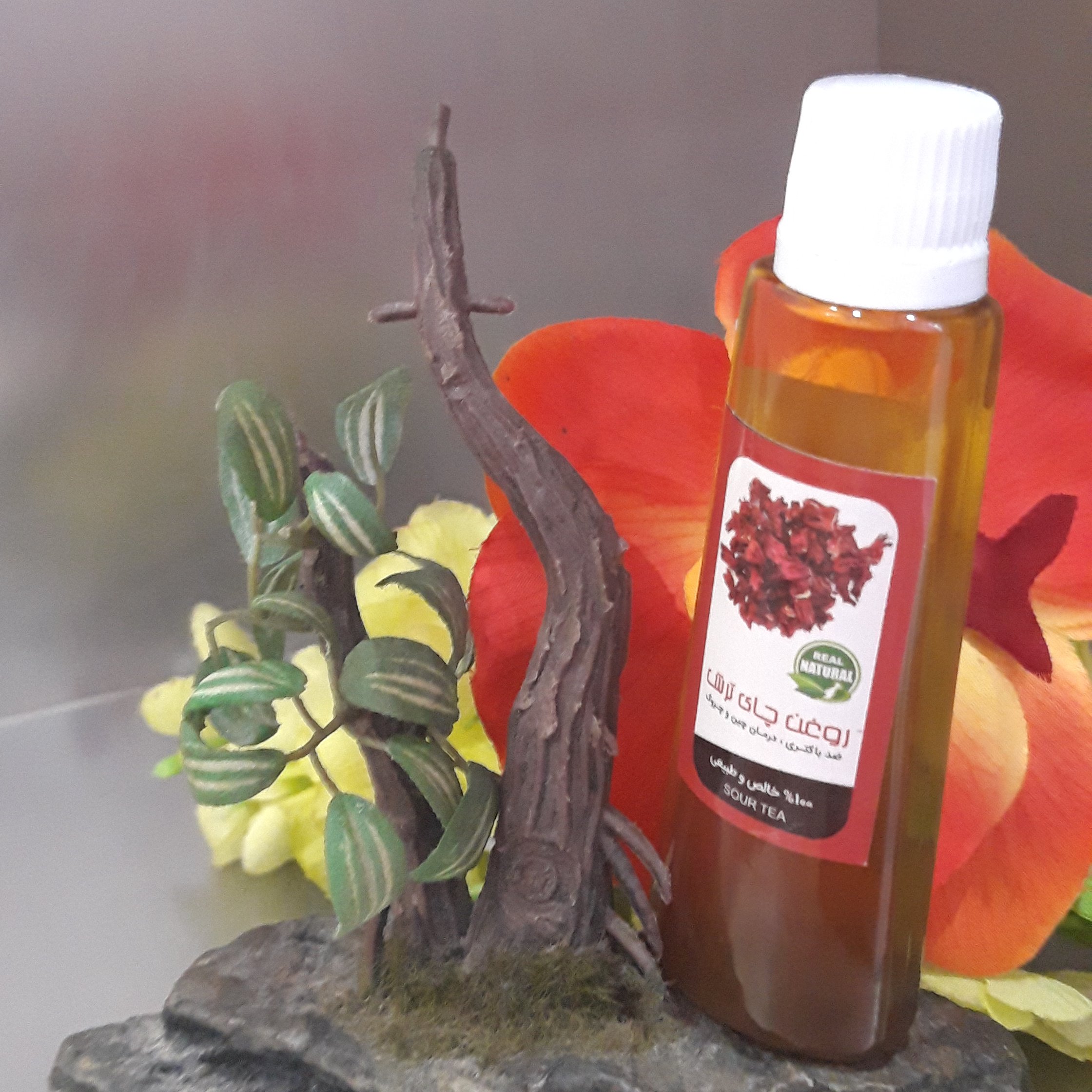 روغن چای ترش فدک (کمک به کاهش وزن)