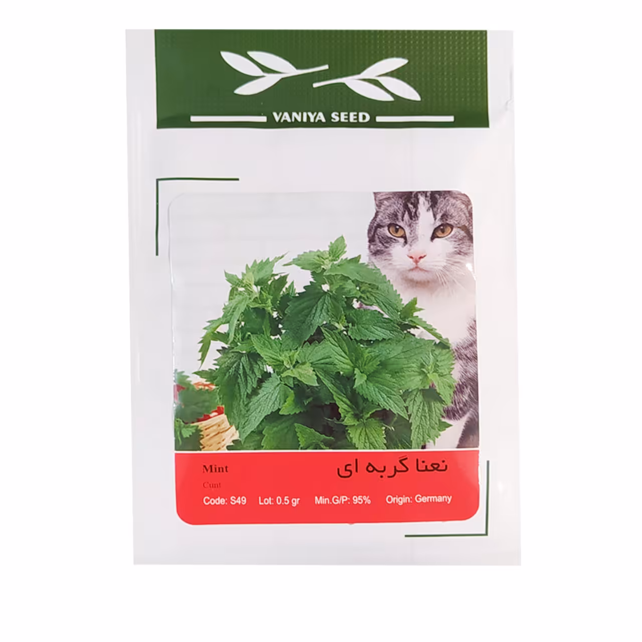 بذر نعنا گربه ای
