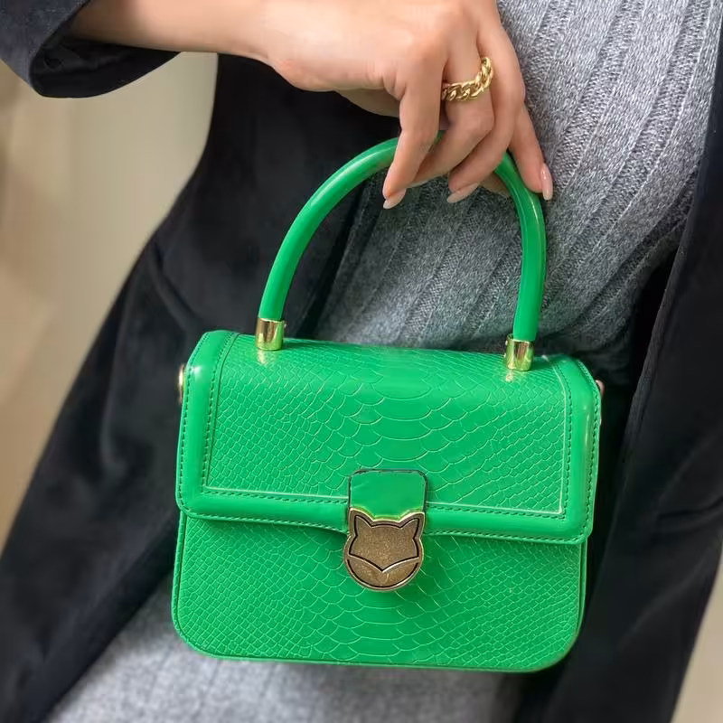 کیفپاسپورتی مجلسی شیک دررنگ بندی