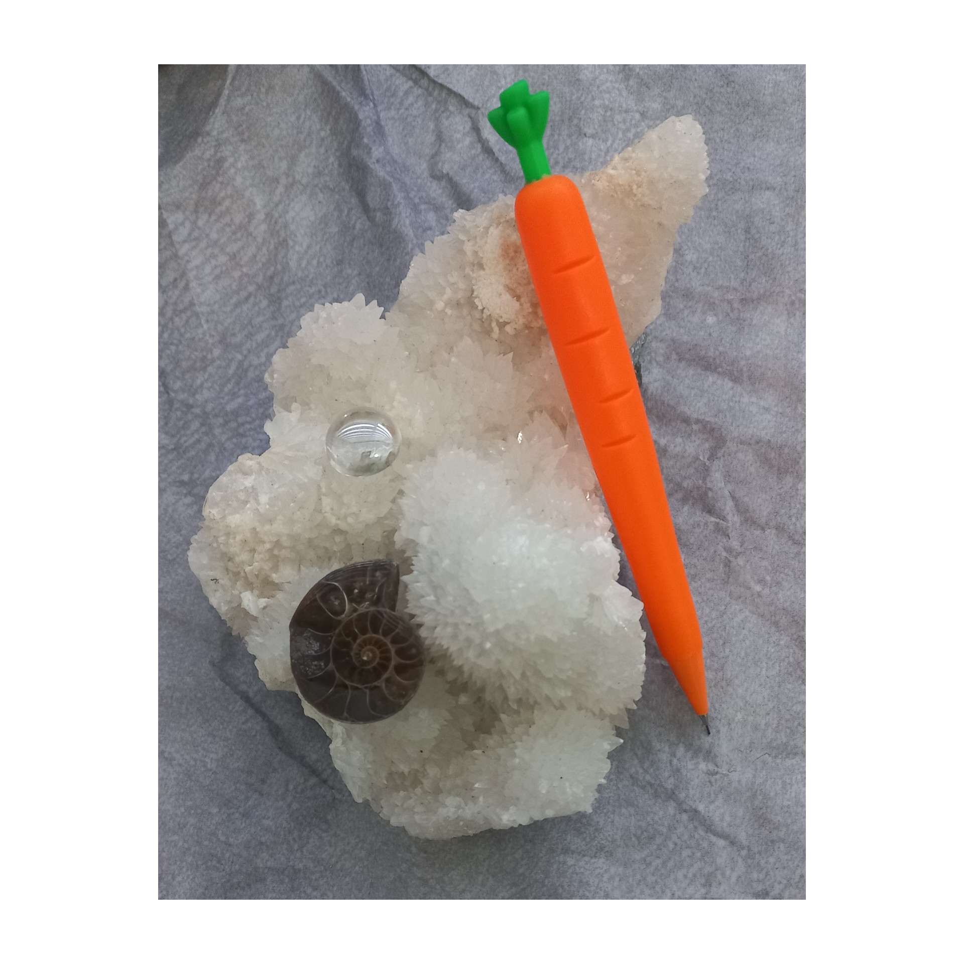 اتود طرح هویج یا مداد نوکی طرح هویج