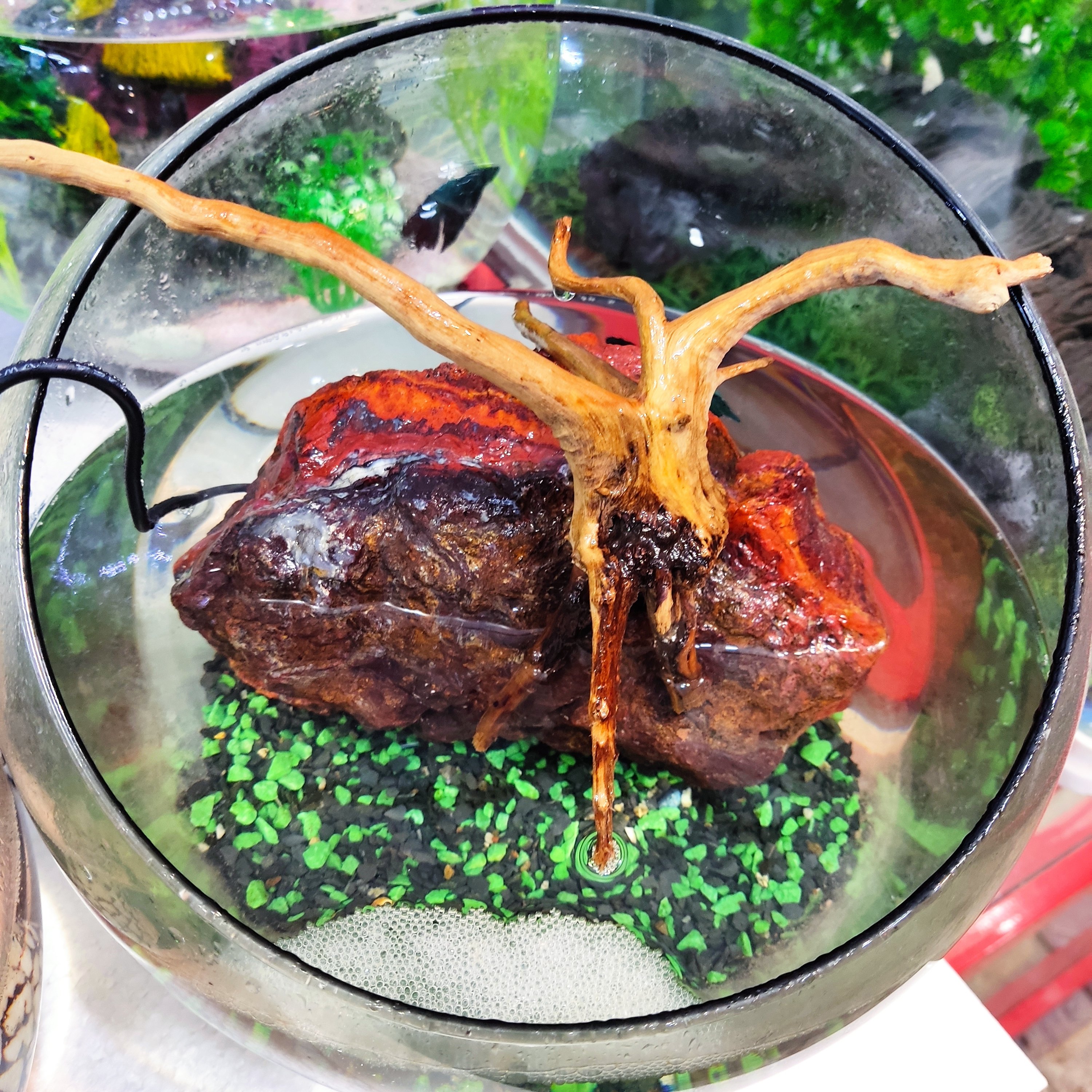 تنگ بلور شیشه ای قطر 26 سانت دهانه کج  با مه ساز بدون ماهی