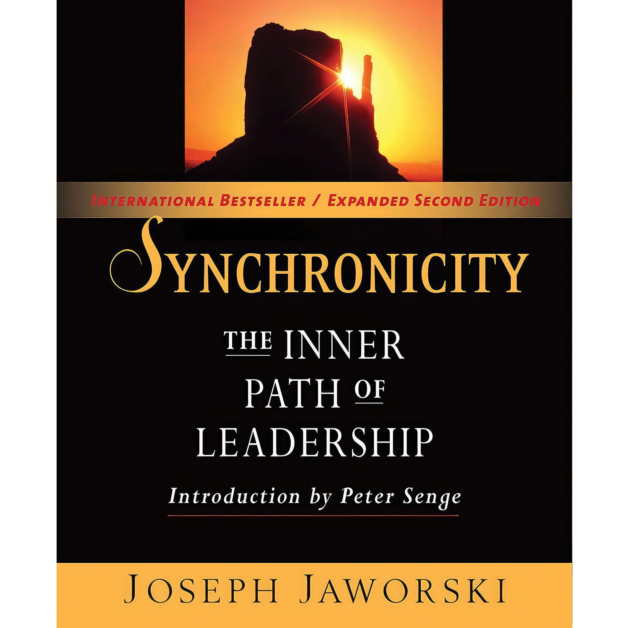 کتاب زبان اصلی Synchronicity اثر Joseph Jaworski and Peter M Senge