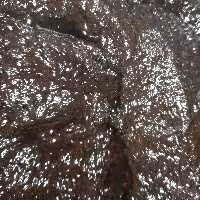 رب میوه ترش (500گرمی)