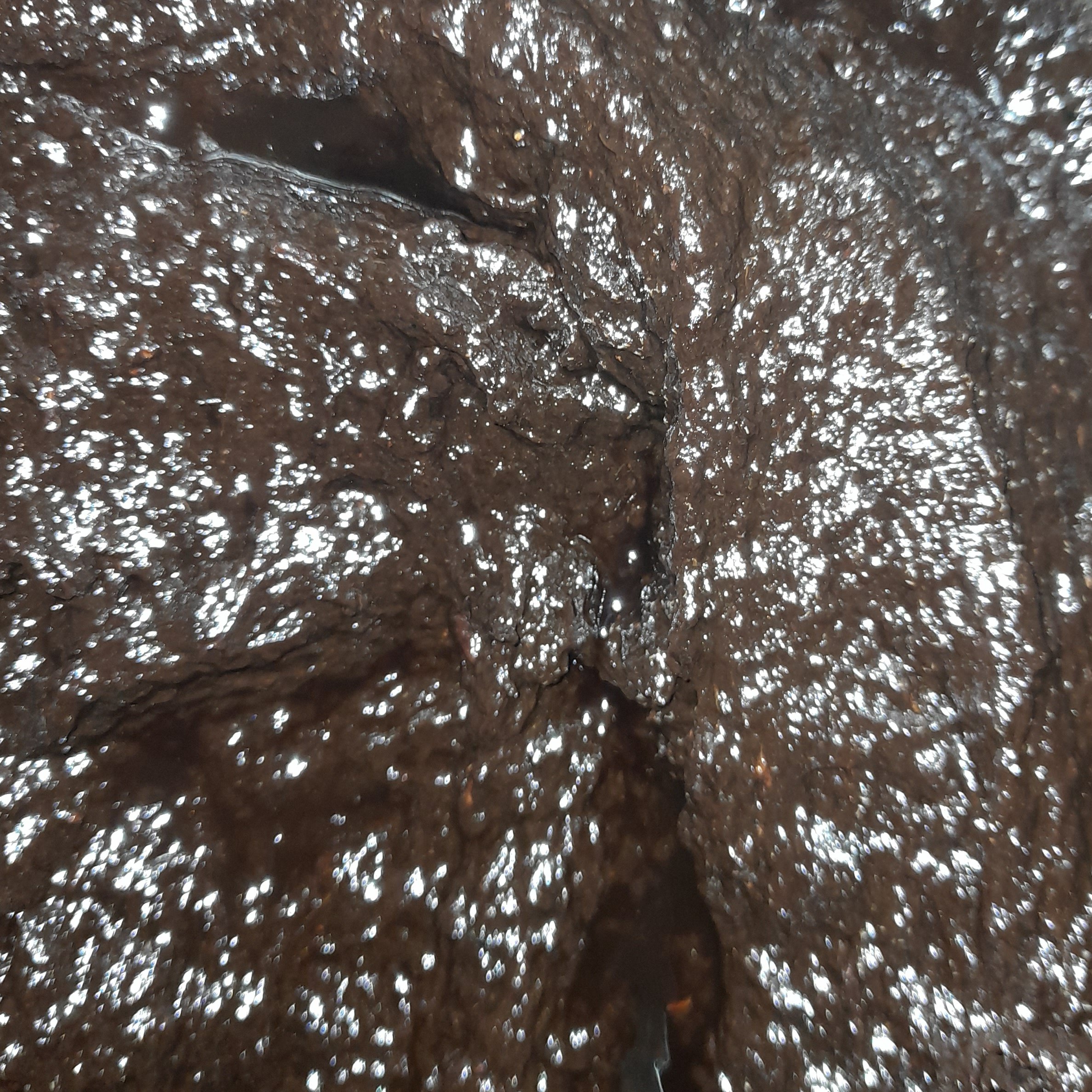 رب میوه ترش (500گرمی)