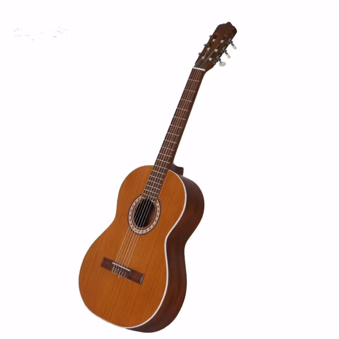 گیتار  کلاسیک پارسی M5