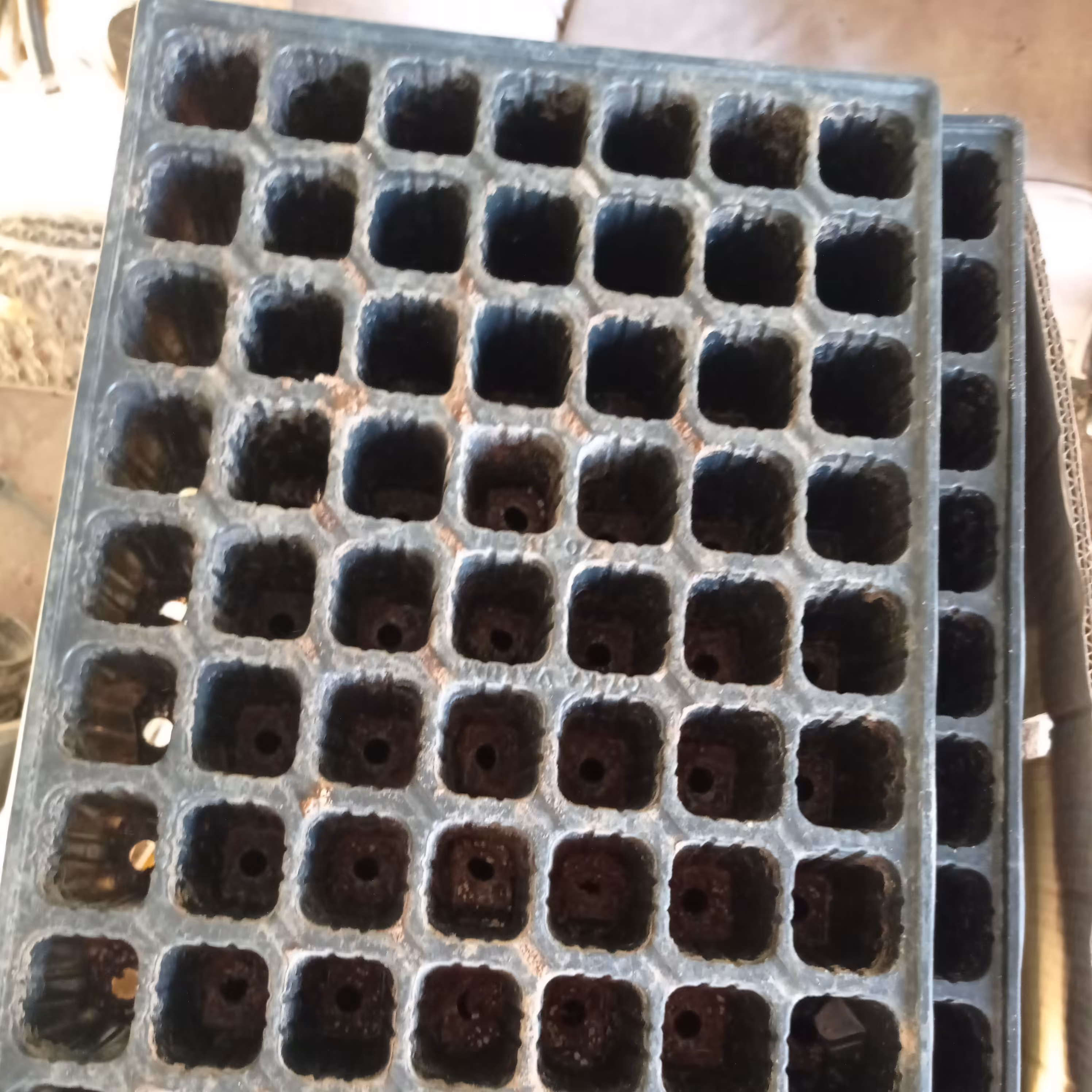 سینی نشا پس کرایه 