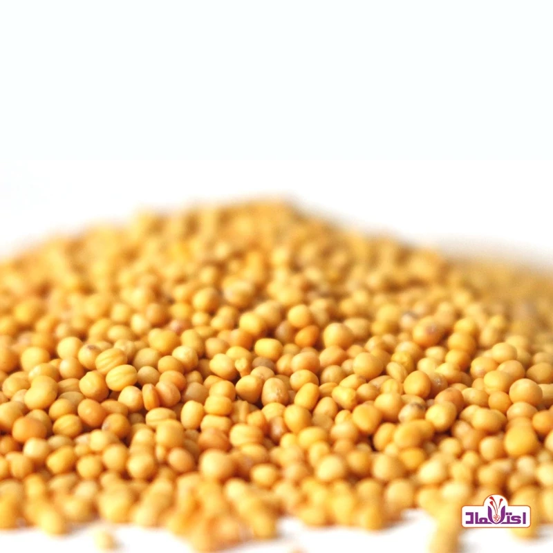 خردل دانه زرد اعلا 100 گرمی اعتماد(دانه خردل ناساب) | amazonchi