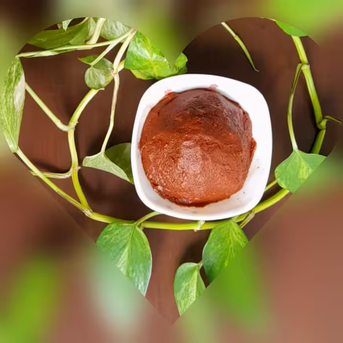 رب گوجه فرنگی  خانگی امساله 5 کیلوگرمی  سالم و فوق غلیظ