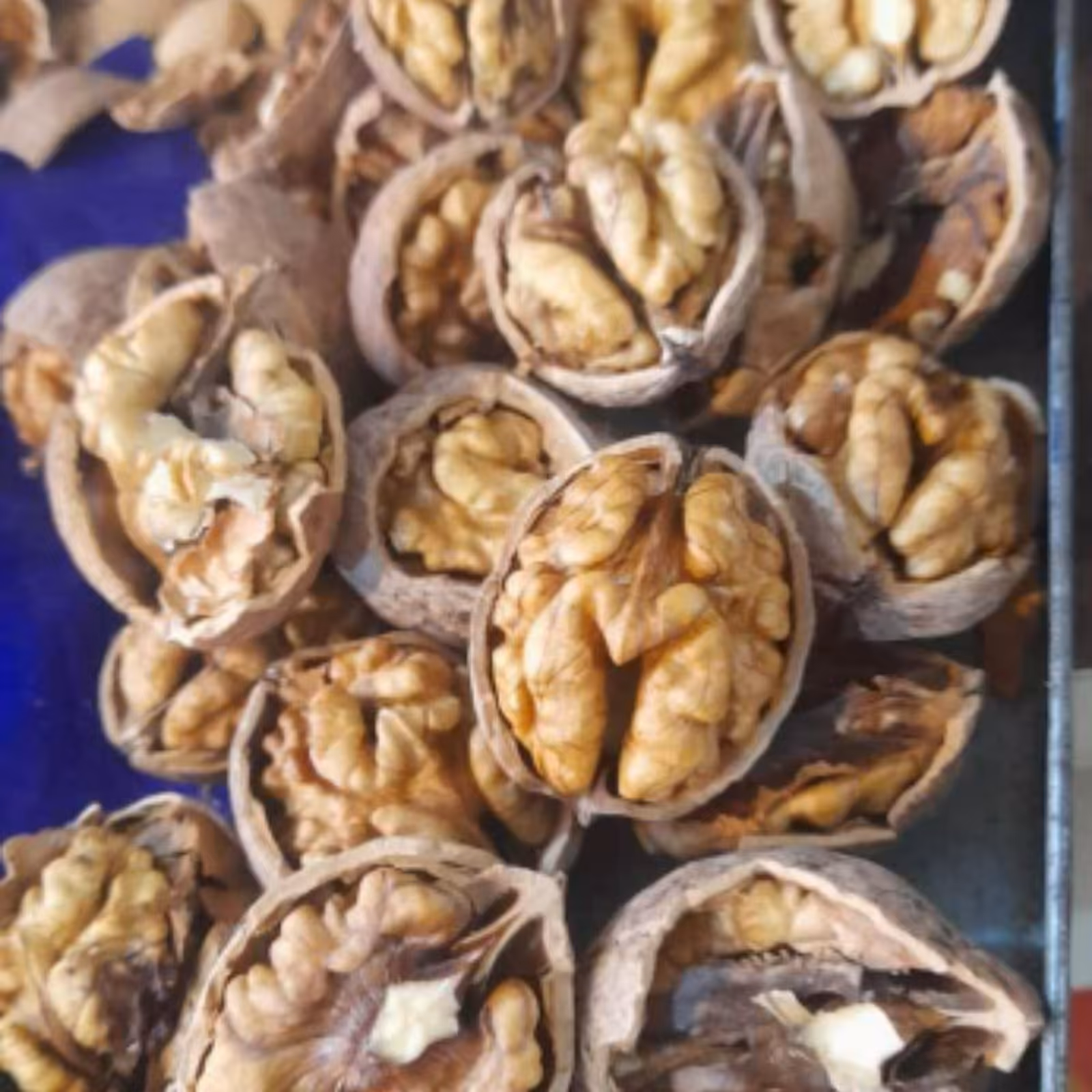 گردو پوست کاغذی الشتر

