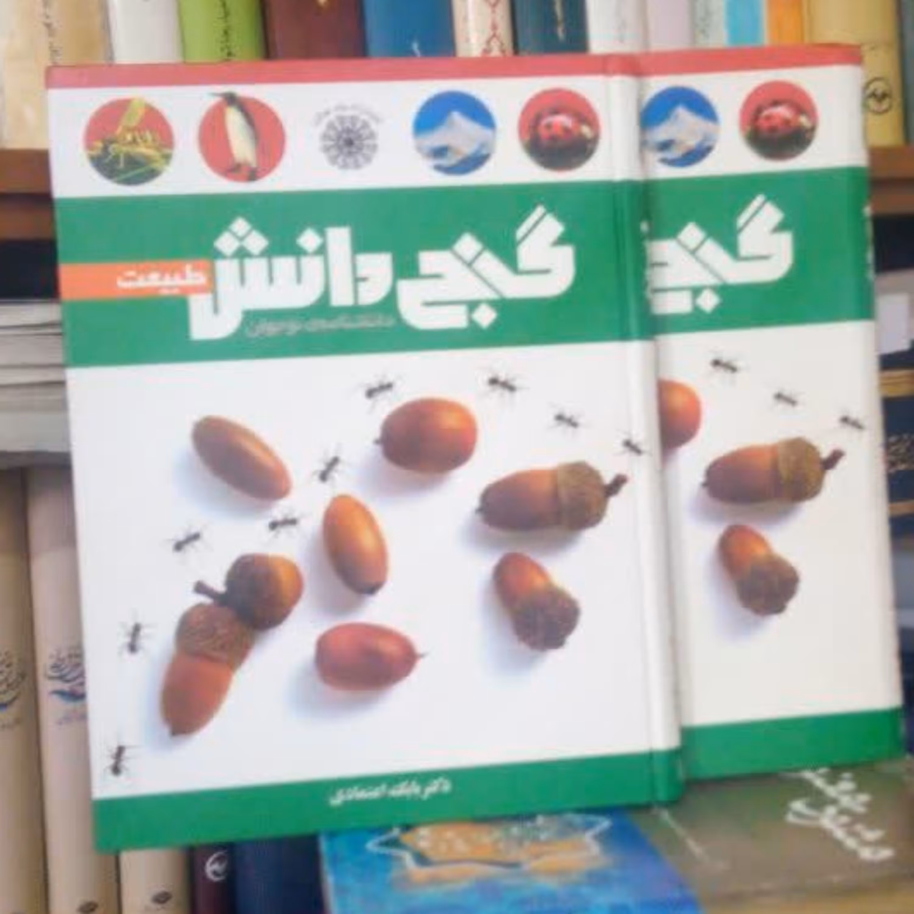 کتاب گنج دانش طبیعت دانشنامه نوجوان  قطع رحلی