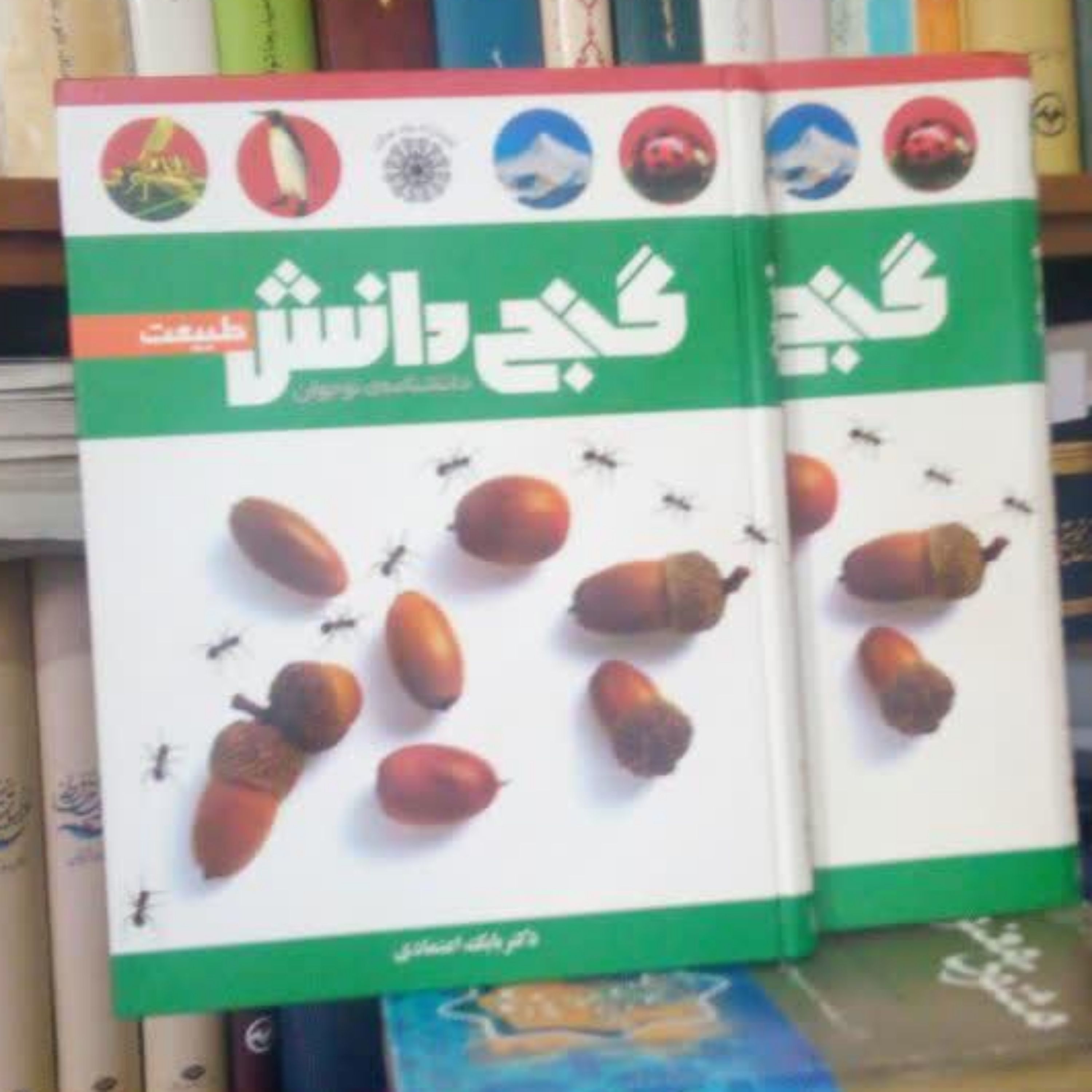 کتاب گنج دانش طبیعت دانشنامه نوجوان قطع رحلی