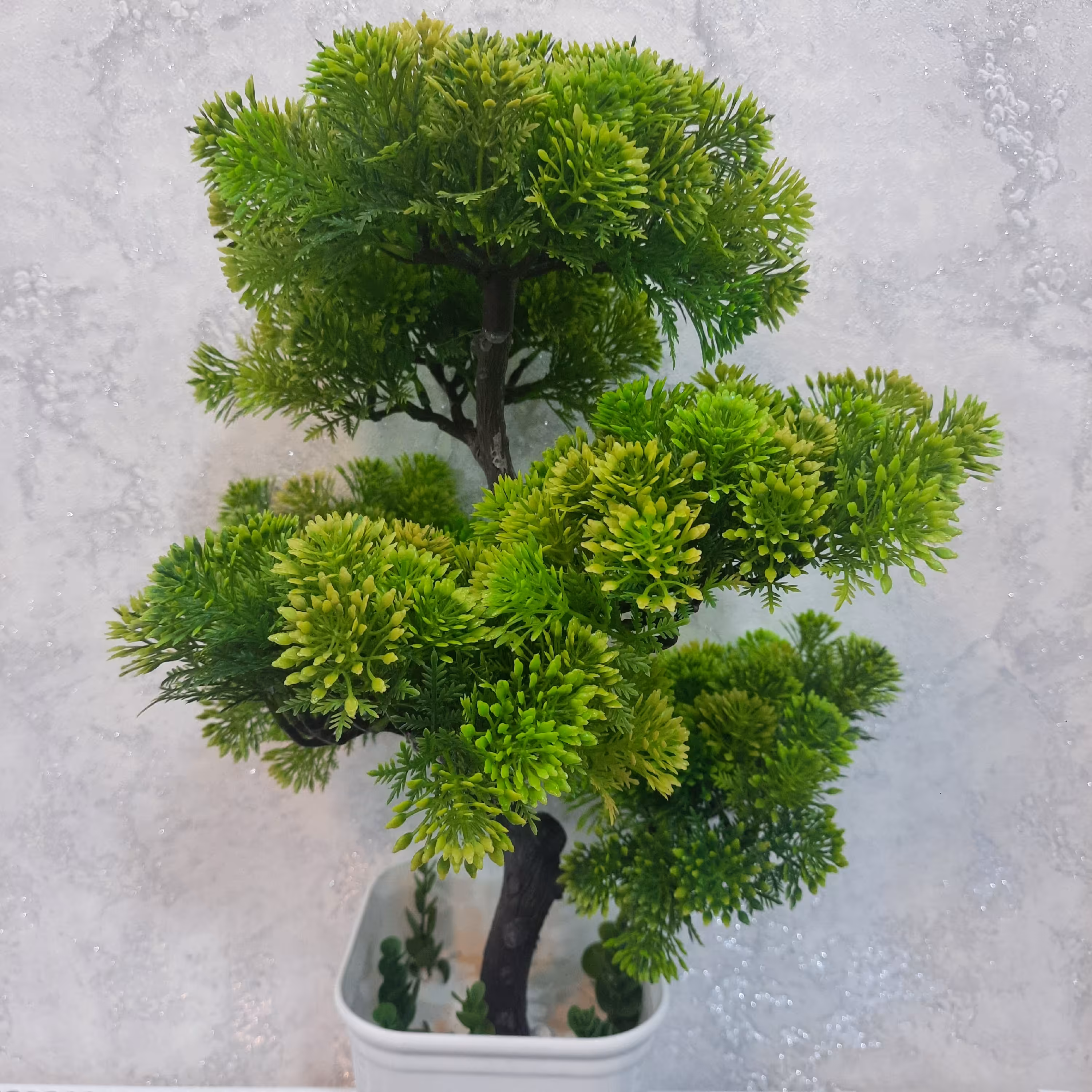 بن سای 6 کوپه مصنوعی . گالری هدیه