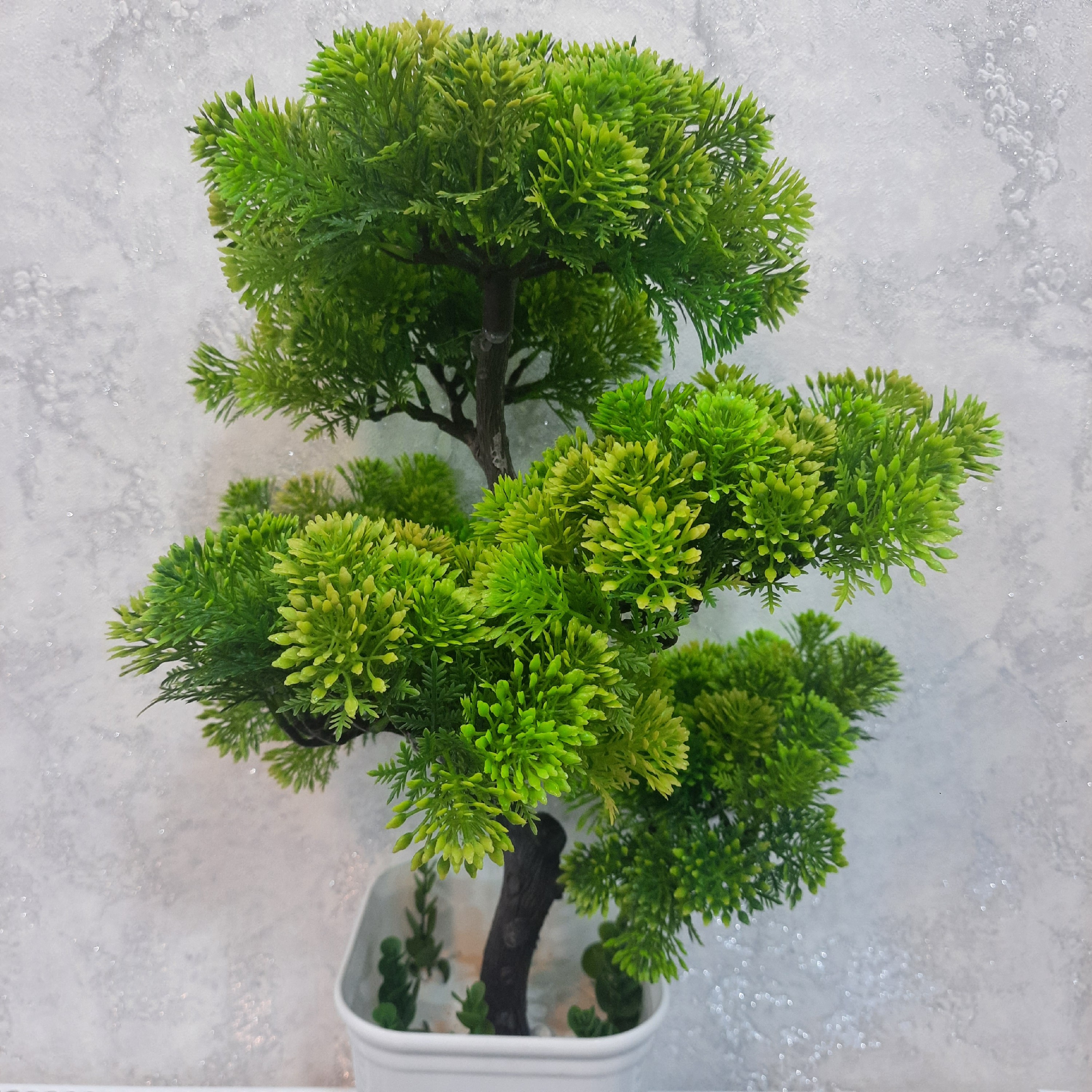 بن سای 6 کوپه مصنوعی . گالری هدیه