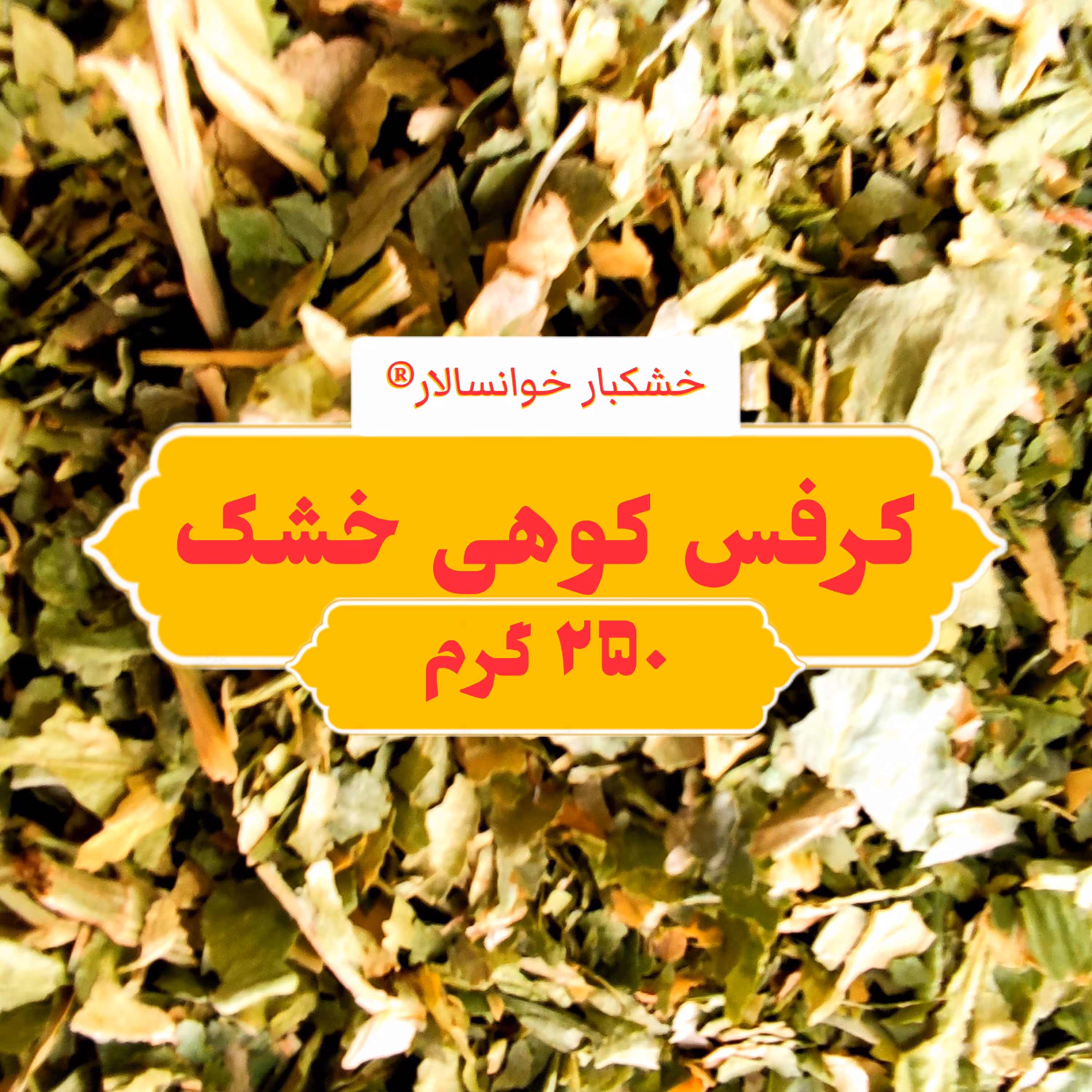 کرفس کوهی برگ خشک تازه ( 250 گرم ) خشکبار خوانسالار