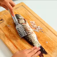 پولک گیر استیل ماهی