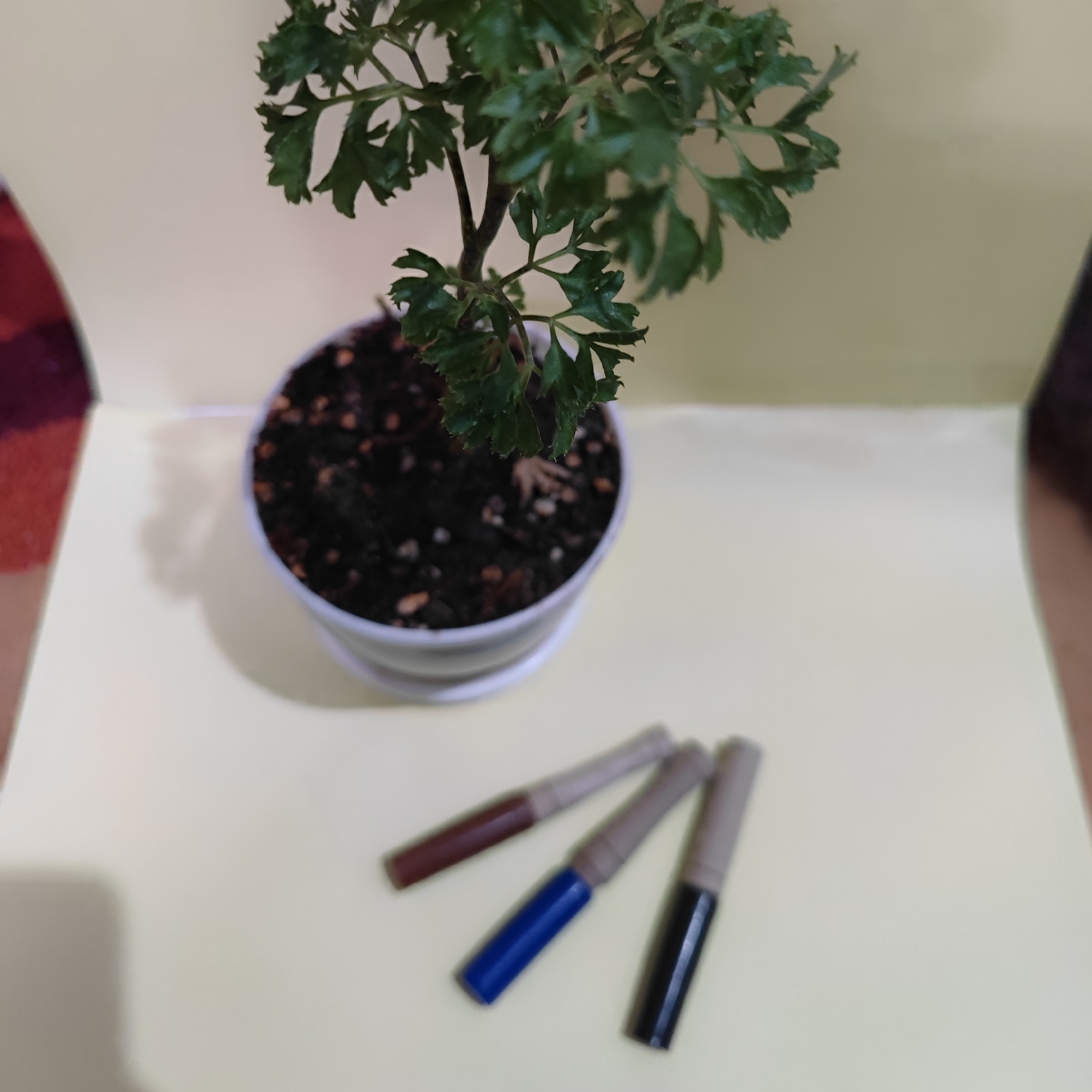 مداد سرمه 7 مغز مداد سرمه آبی مداد سرمه مشکی مداد سرمه قهوه ای تقویت چشم تقویت مژه بدون سرب