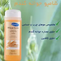 شامپو سر و بدن جوانه گندم کاپوس 