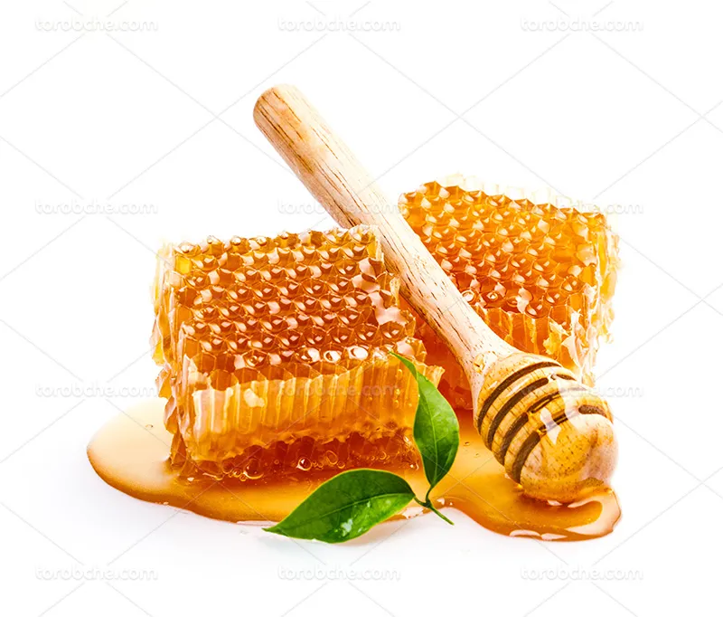 عکس موم تازه عسل | گرافیک با طعم تربچه