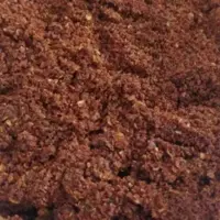 پول بیبر ترکی