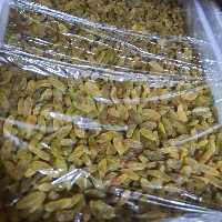 کشمش سبز قلمی درجه یک ( یک کیلویی)