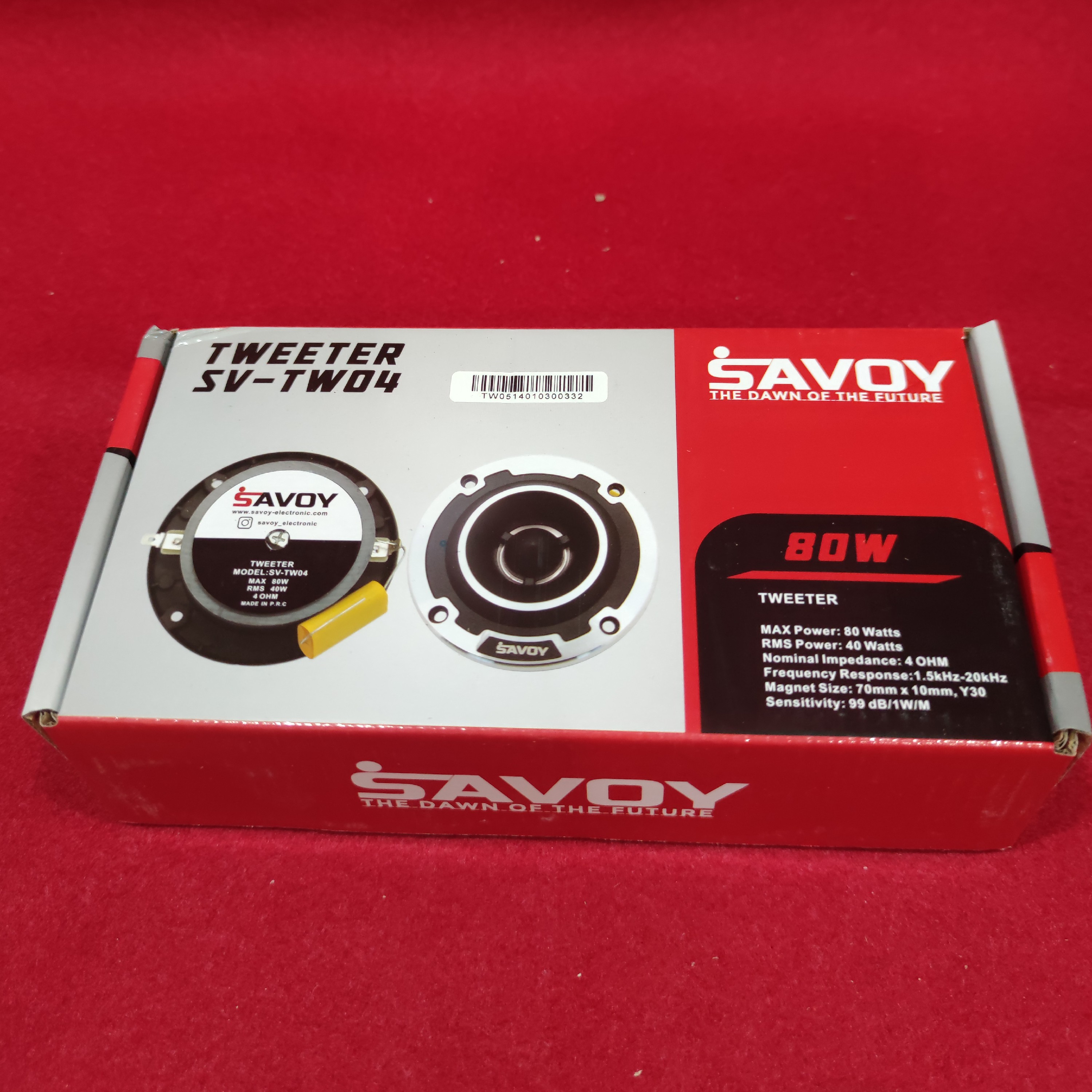 تیوتر ساووی 04