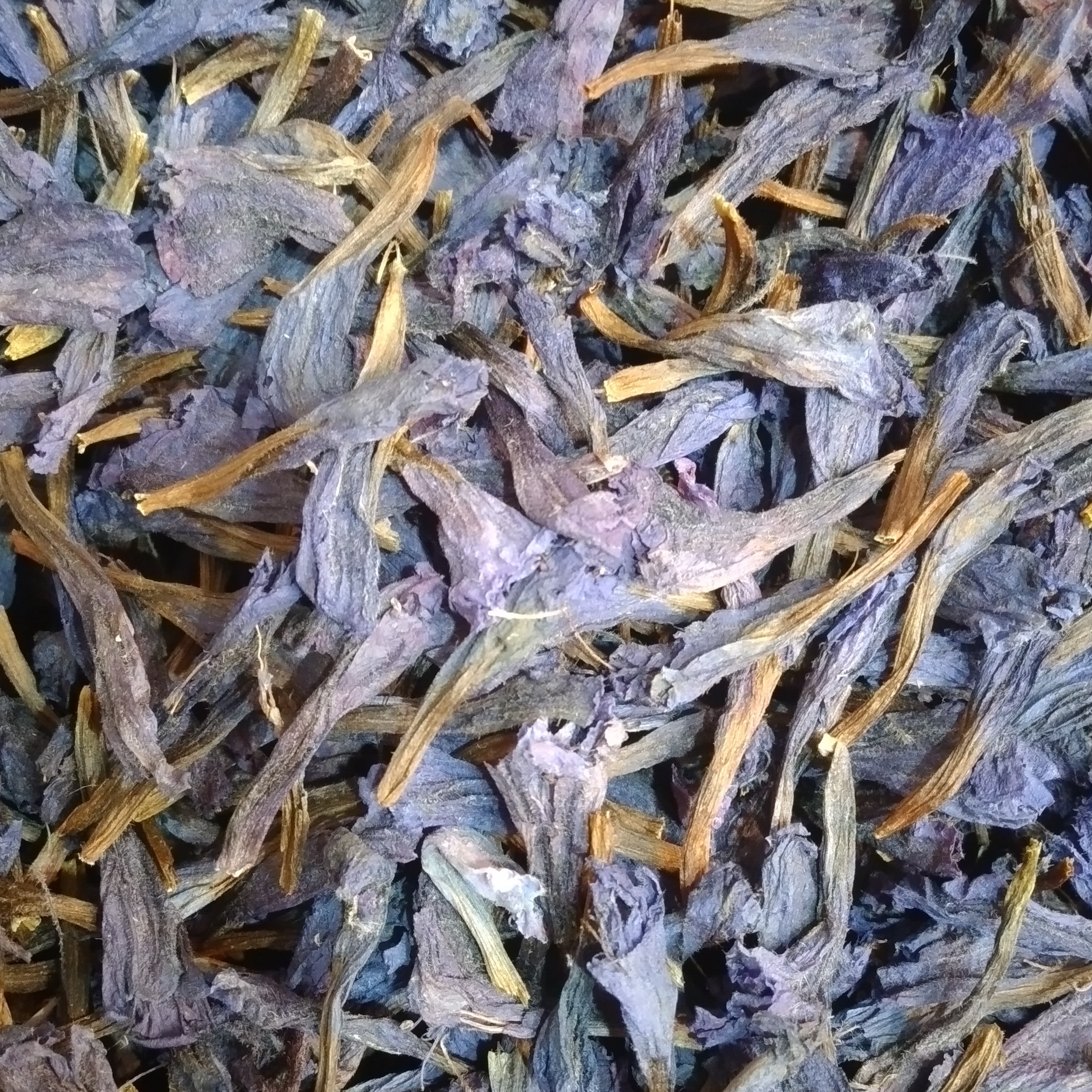 گل گاو زبان نیم کیلویی