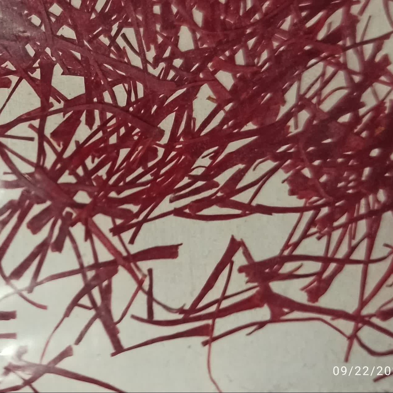 زعفران نگین (بسته یک مثقالی برابر با 4.608 گرم)