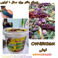 خوراک هانتر ادونس سوپر لاکچری سطل بزرگ (طوطی)