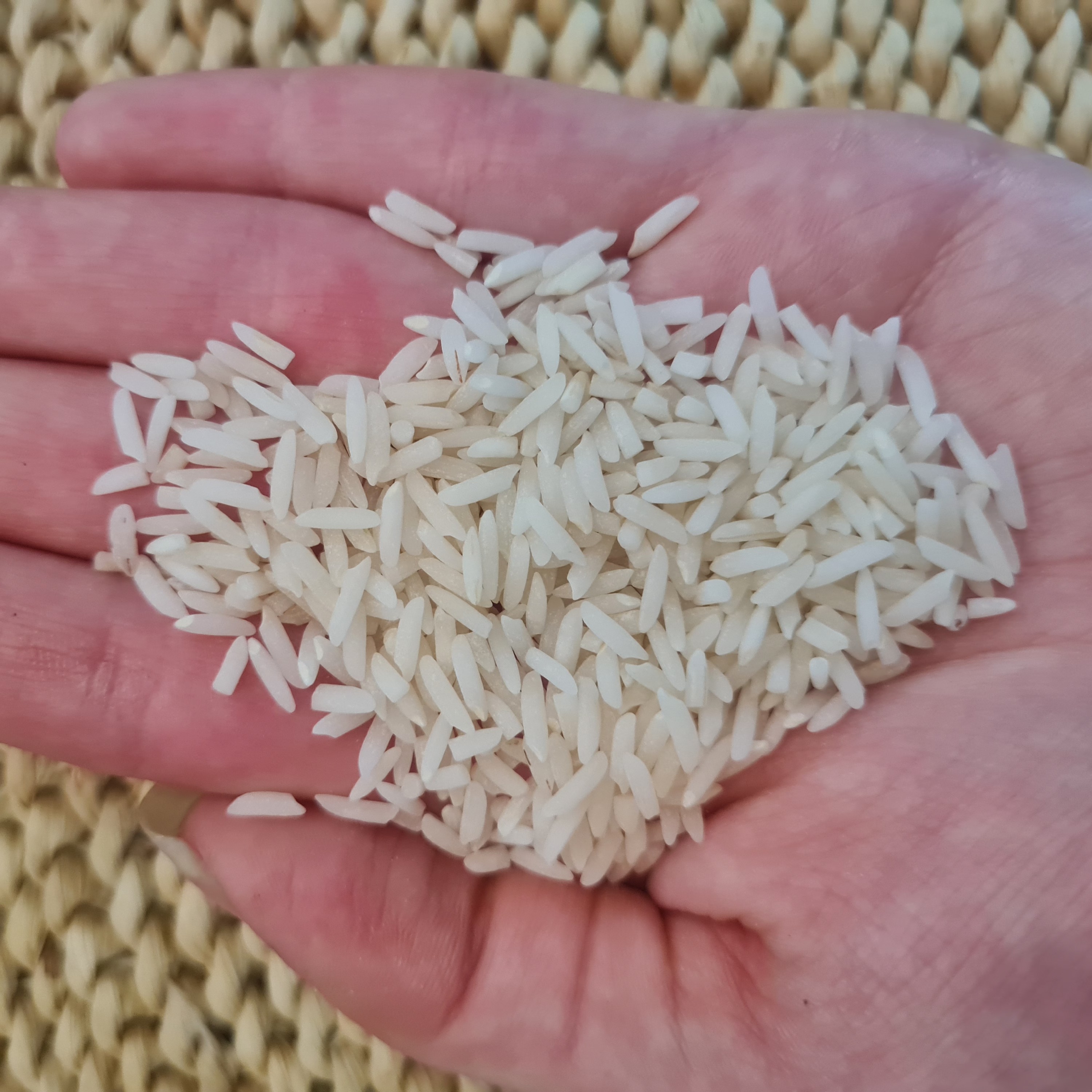برنج طارم هاشمی درجه 1 گیلان بدون واسطه(وزن هر محصول 20 کیلوگرم)