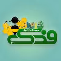 مویز بدون هسته افغان فدک (500گرم)