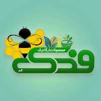 مویز بدون هسته افغان فدک (500گرم)