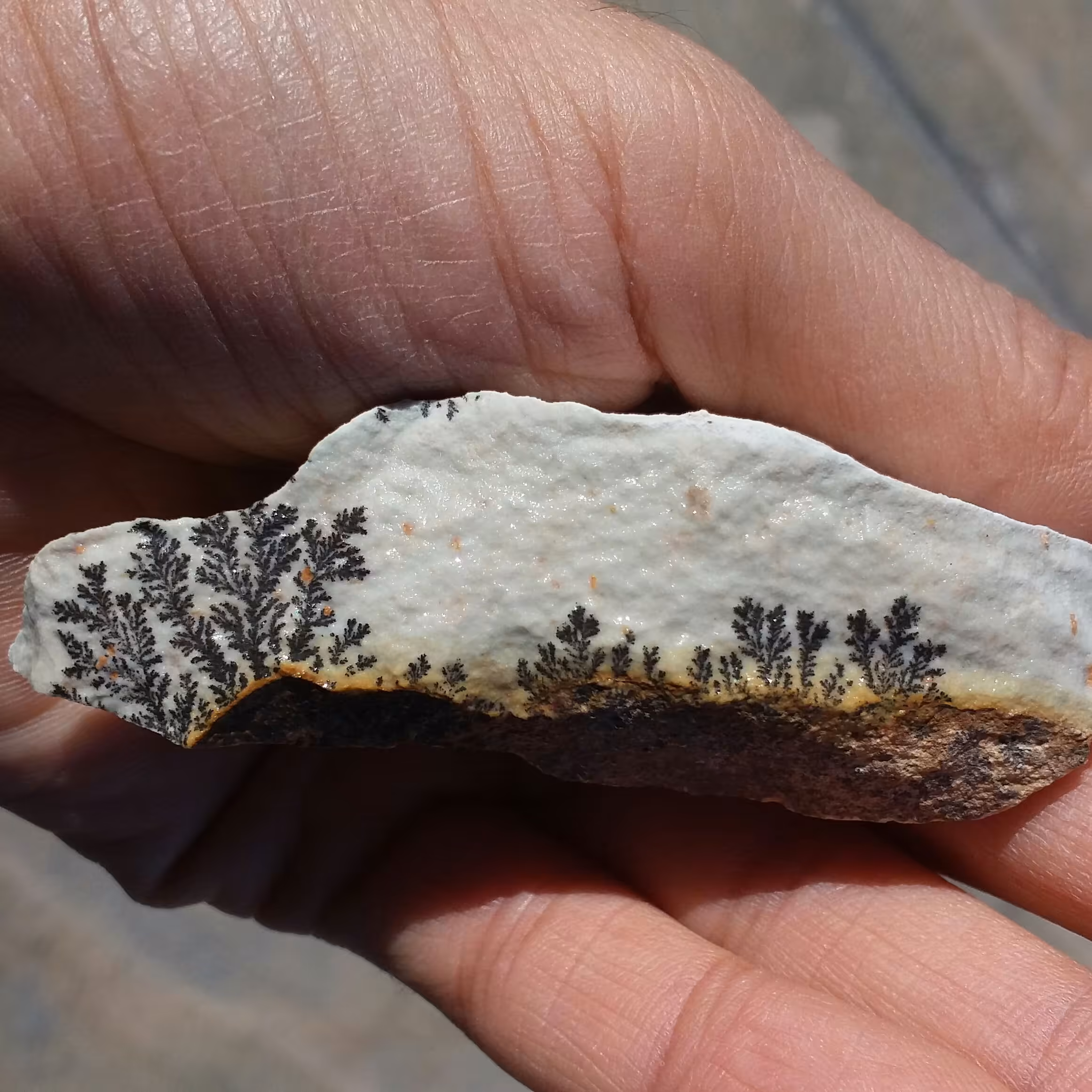 سنگ راف 100 در 100 طبیعی شجر دندریتی یا فسیلی محشر خاص شاااهکار خلقت
شجر واضح
نمونه ای بسیااار  زیبا