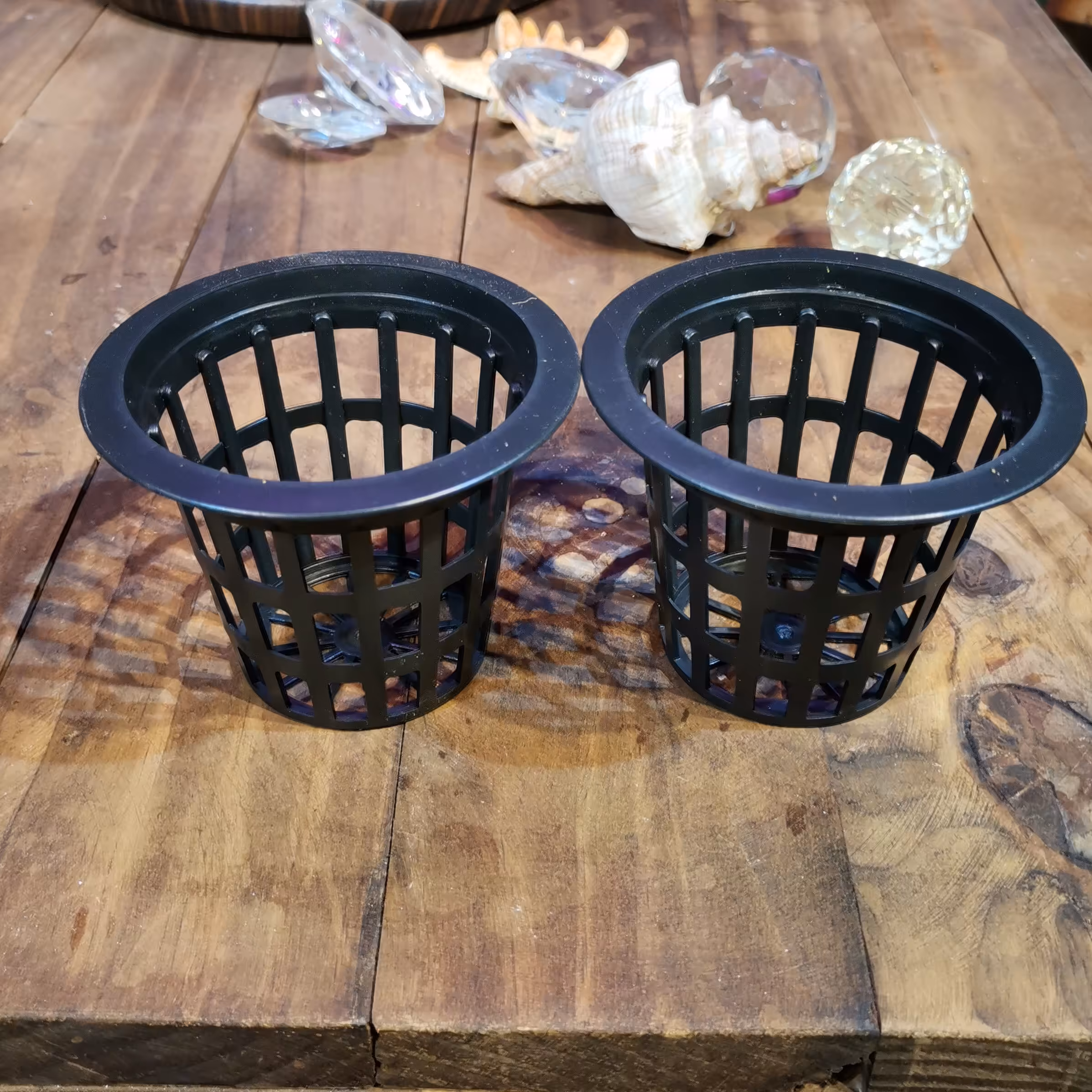 نت پات سایز7 برای گیاهچه وقلمه