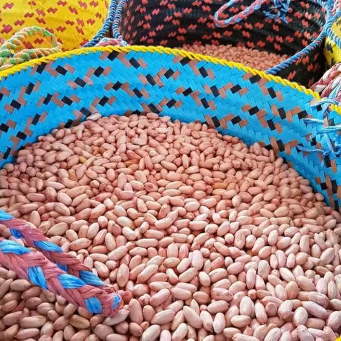 بادام زمینی ریز آجیلی 2کیلویی تازه  ارسال رایگان آستانه اشرفیه 