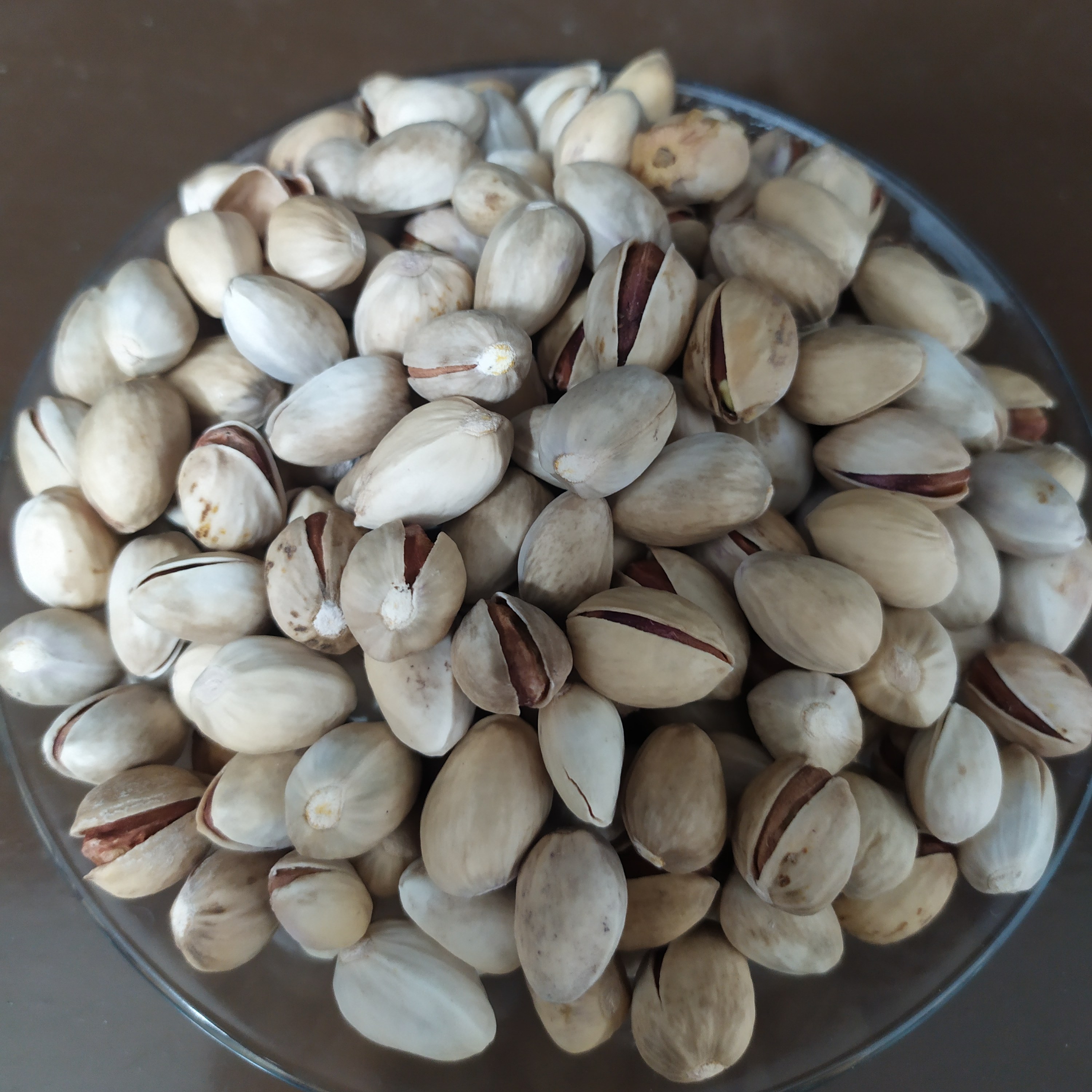 پسته فندقی