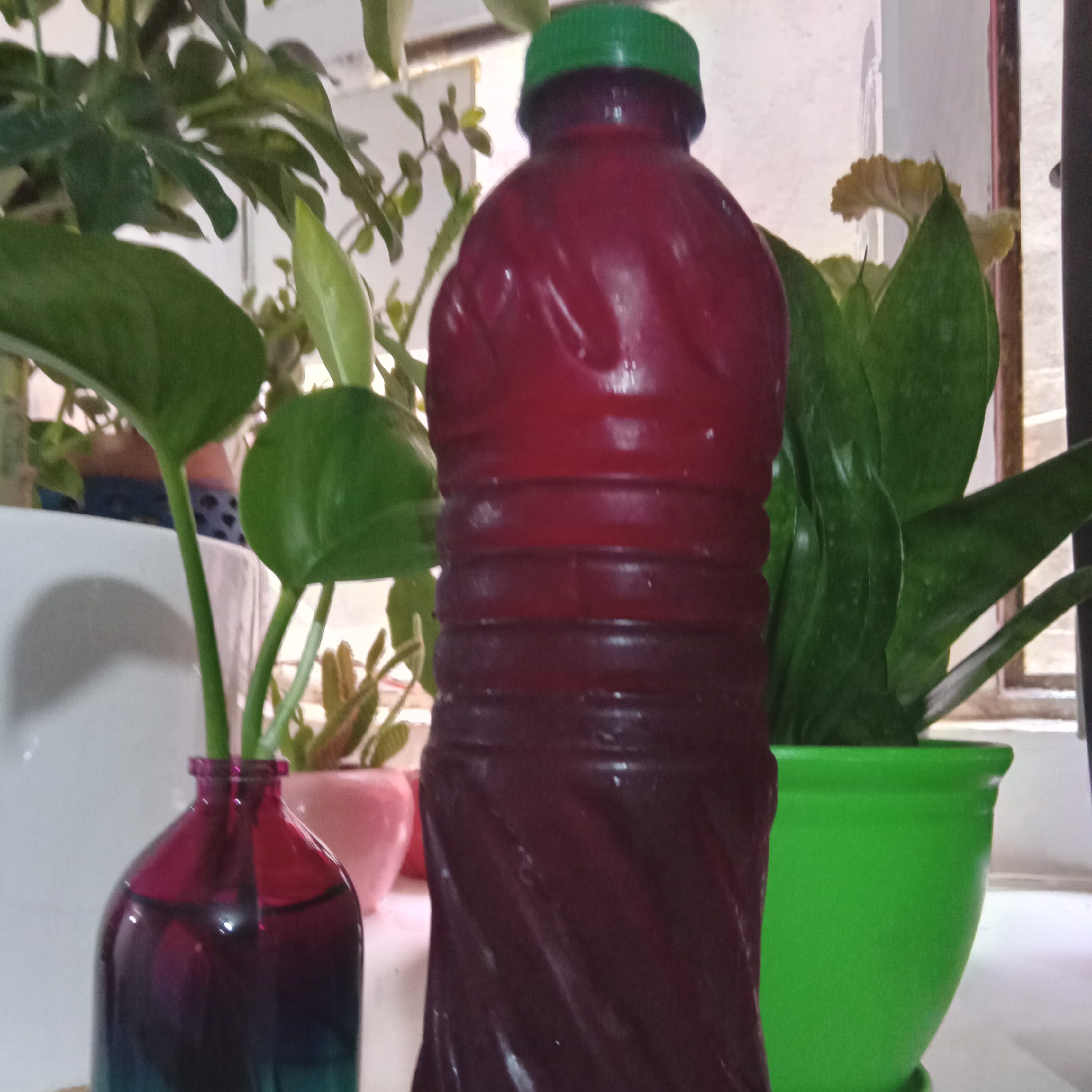 شربت آلبالو طبیعی 650 گرم