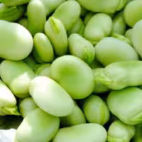 باقالی سبز با پوست دوم 