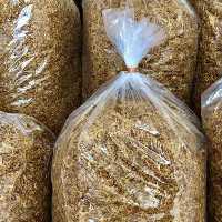 پیاز داغ 1 کیلویی