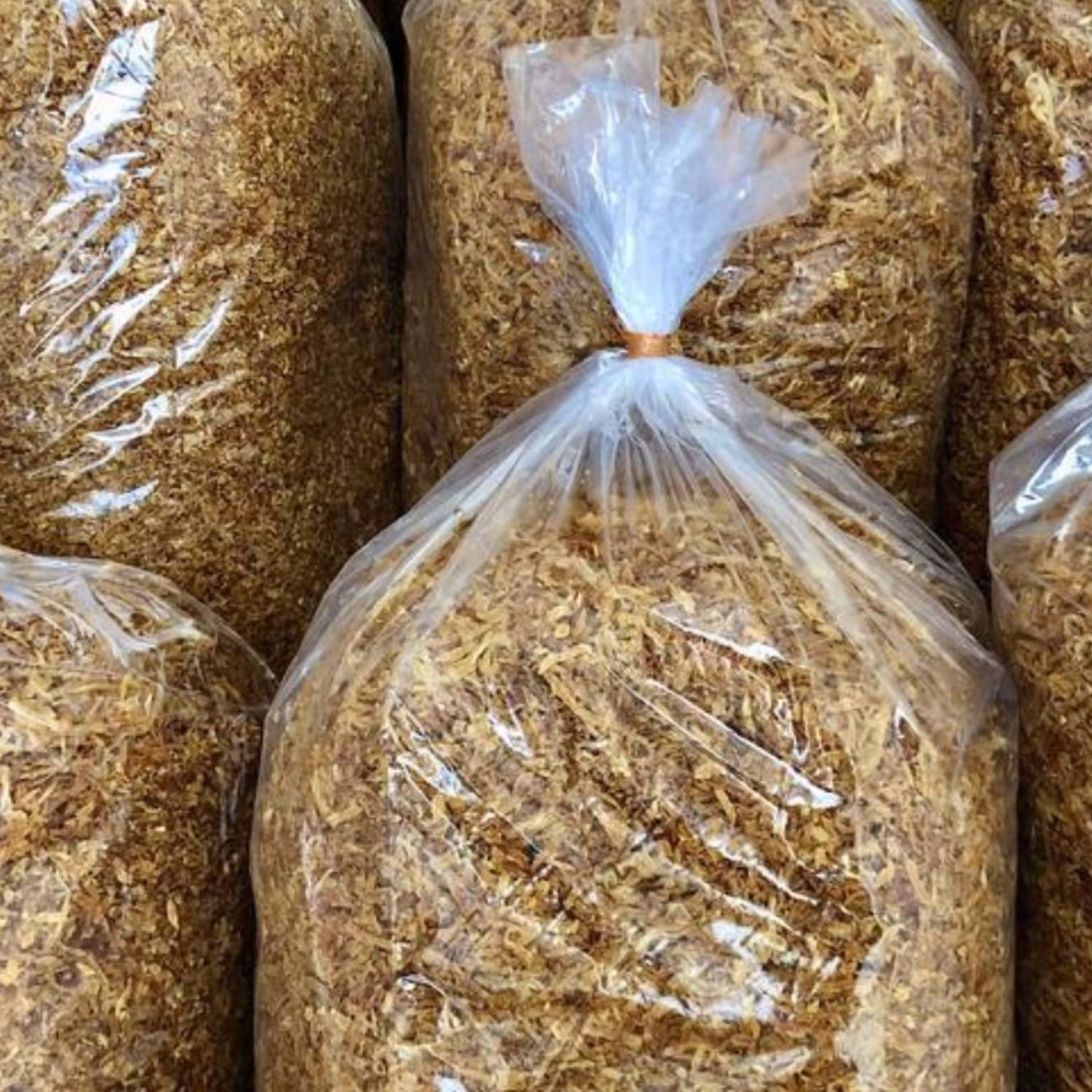 پیاز داغ 1 کیلویی